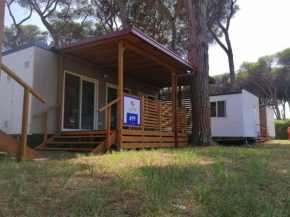 Small Camp Roma Capitol, Mobile Home It-Std-41 6